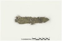 藏品(細鱗蘚科)的圖片